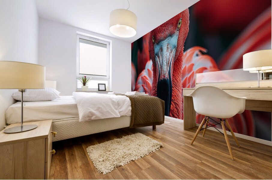 Vibrant Flamingo Mural print