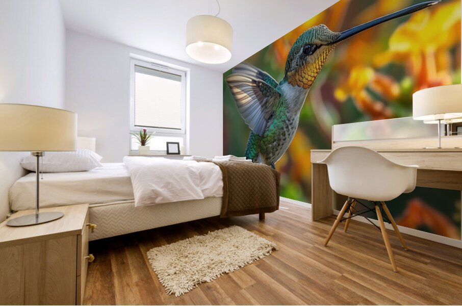 Humming Bird Mural print
