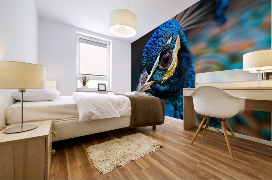 Gorgeous Peacock Mural print