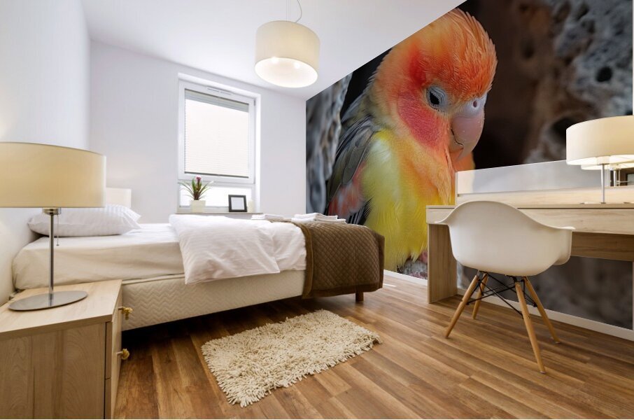 Sleepy Lovebird Mural print