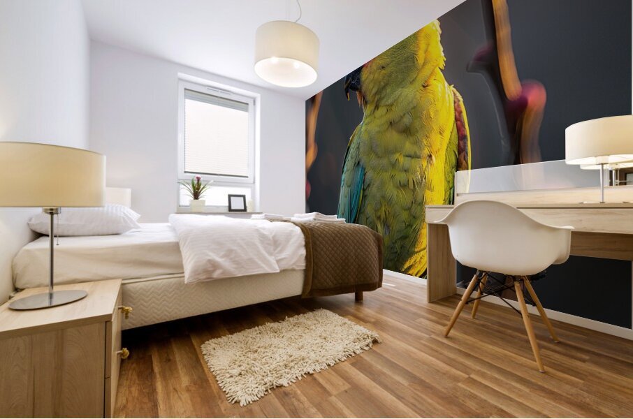 Bright Parrot Mural print