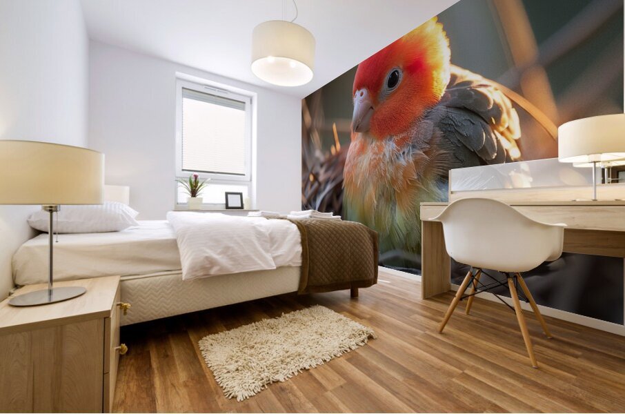 Pretty Love Bird Mural print