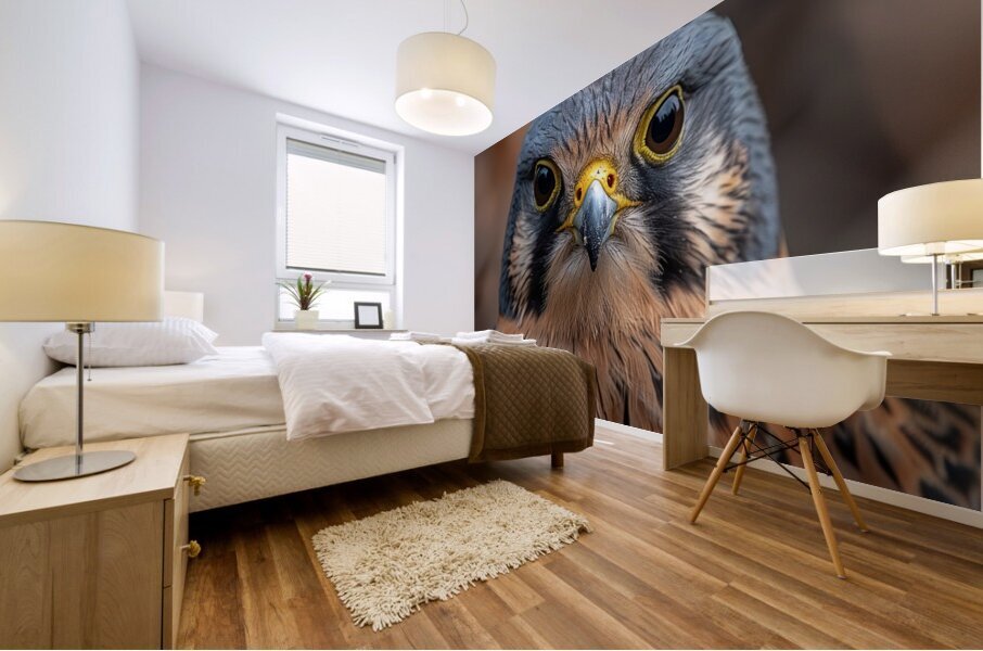 Quail Mural print