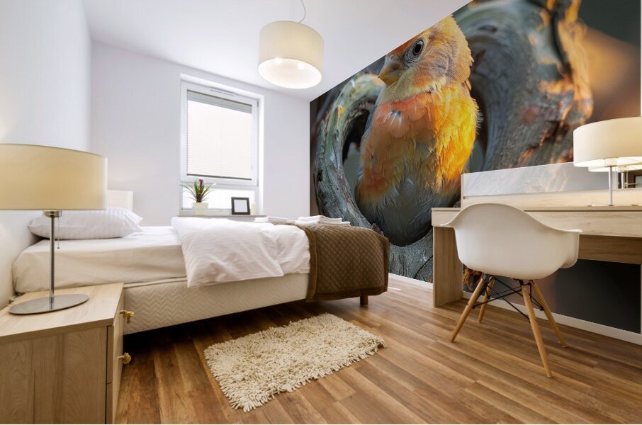 Soulful Bird Mural print