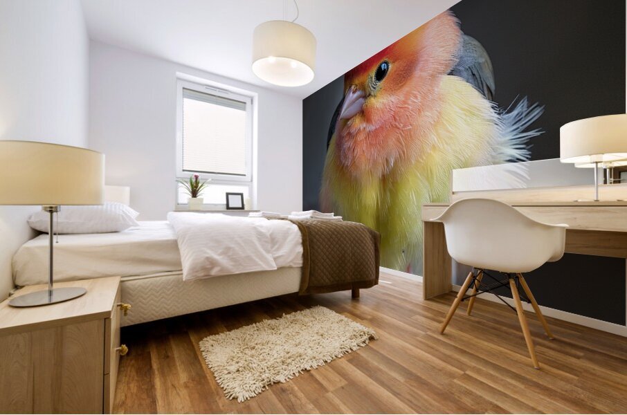 Lonely Bird Mural print