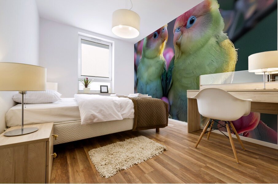 Love Birds Mural print