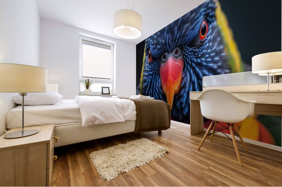 Lorikeet Mural print