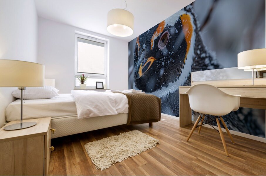 Snow Penguin Mural print