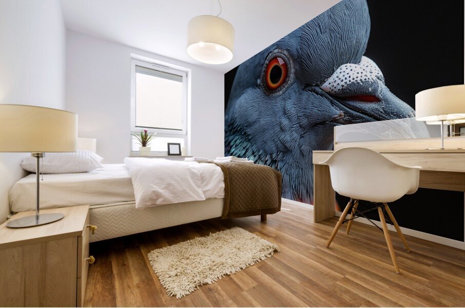 Pigeon Eye Mural print