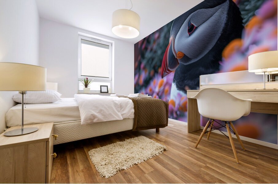Elegant Puffin Mural print