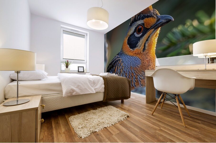 Charm Quail Bird Mural print