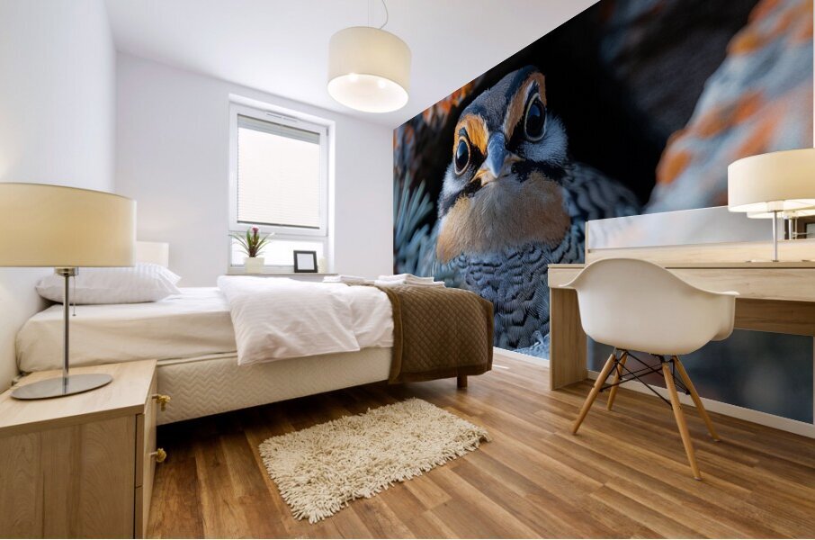 Quail Beak Mural print