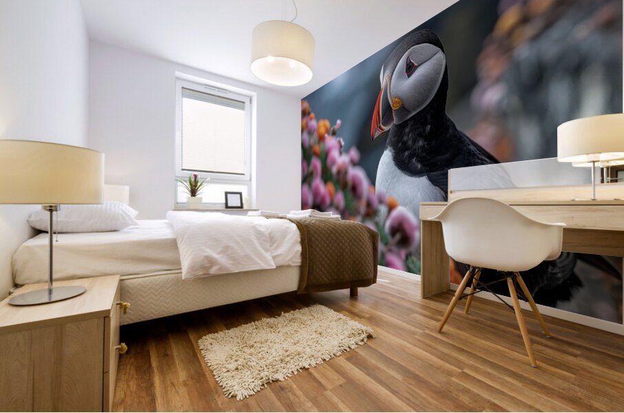 Northern Puffin Mural print