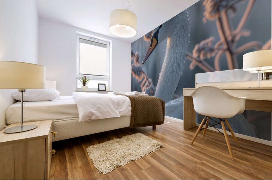 Angelic Swan Mural print