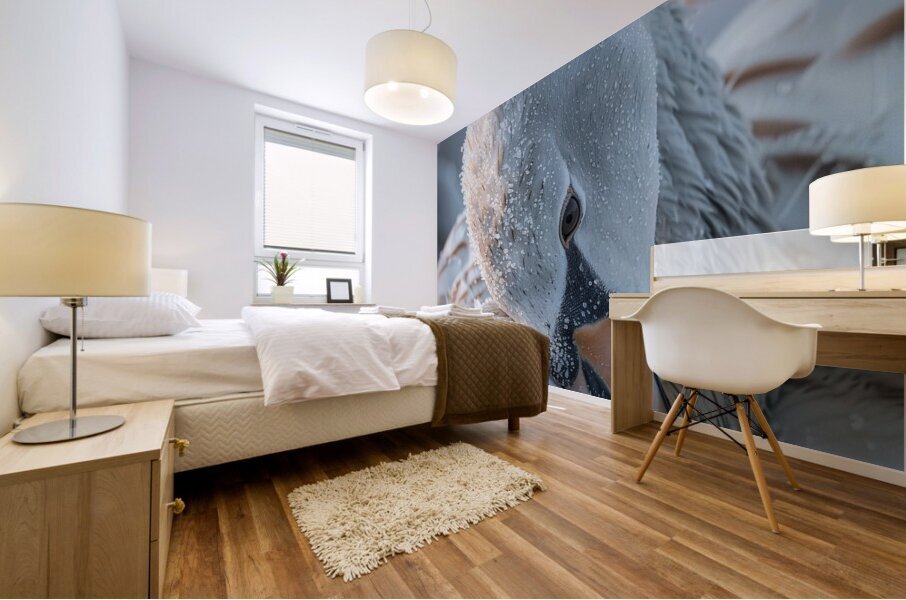 Sleepy Swan Mural print