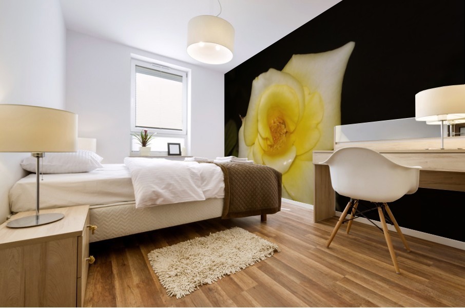 YELLOW ROSE Mural print