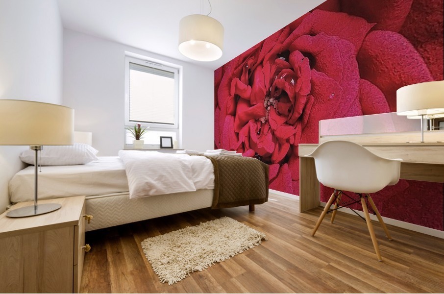 RED ROSE    Mural print