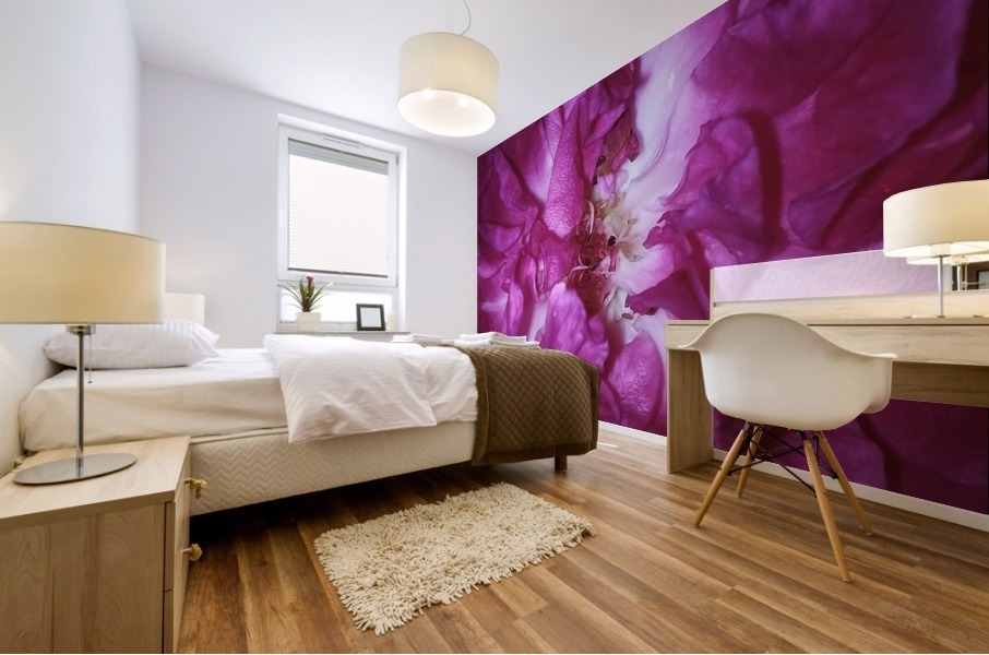 Beautiful Rose   Mural print