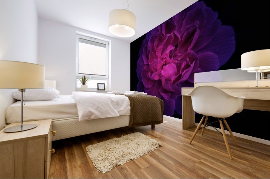 Shining Rose Mural print