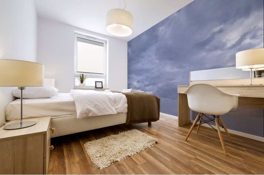 MESSY CLOUDS    Mural print