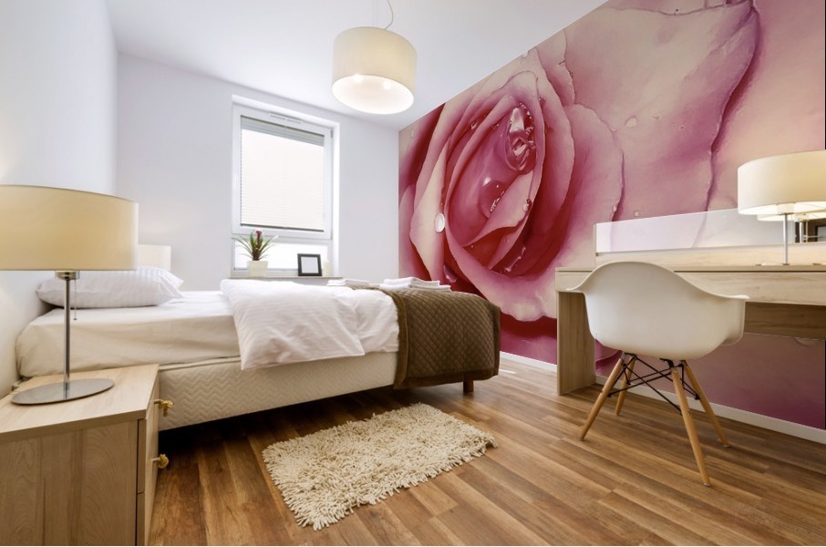 Satin Rose    Mural print