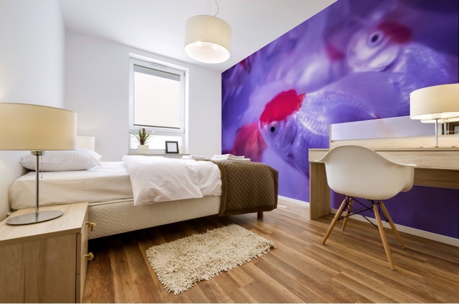Golden Fish  Mural print