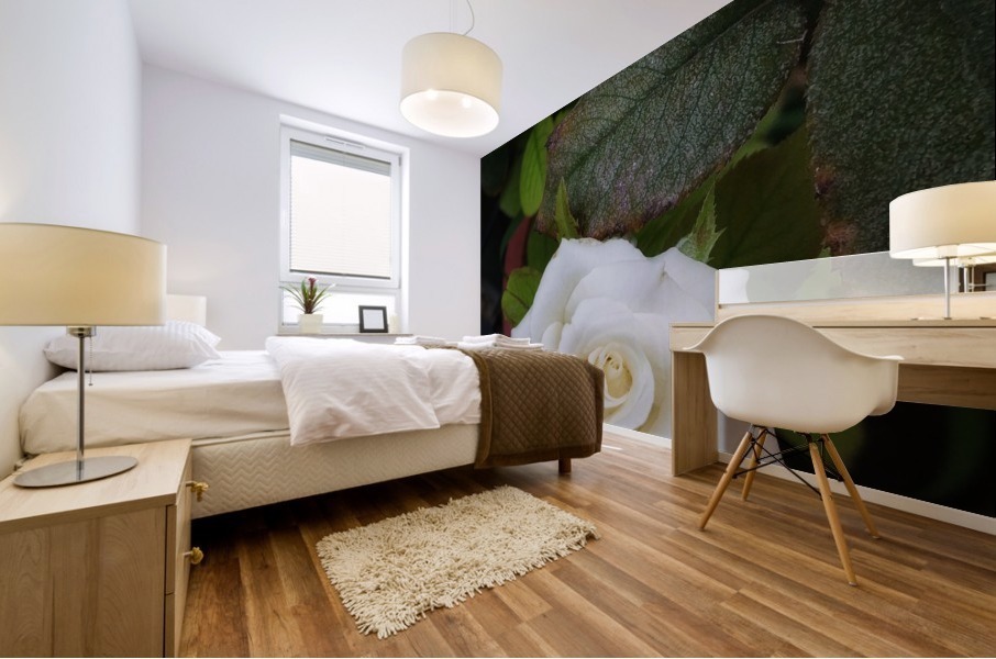 Angel Rose Mural print