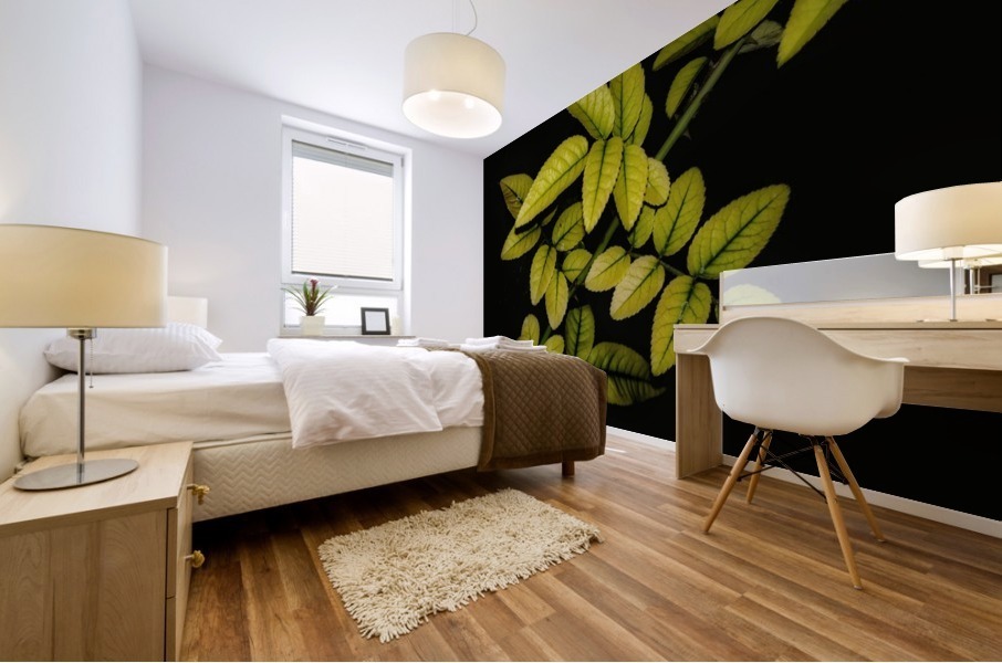 Dew Drops Leaves Mural print
