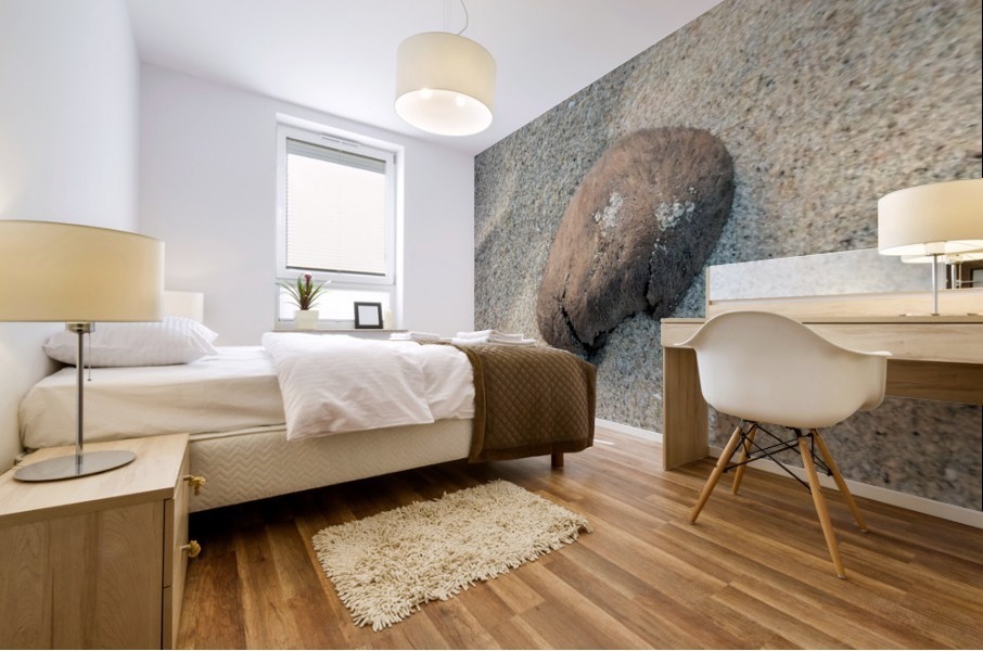 Coastal Shell Mural print