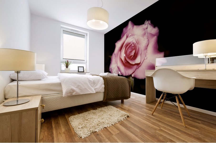 Satin Rose Mural print