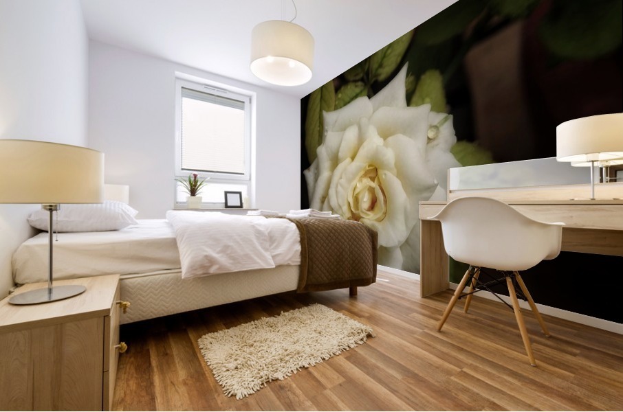 Beautiful Garden White Rose Mural print