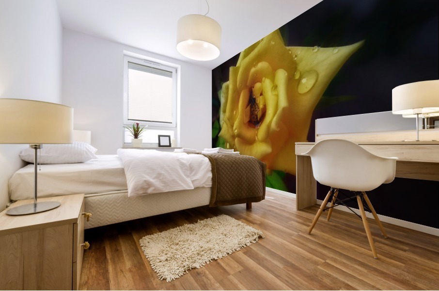 Beautiful Yellow Rose Mural print