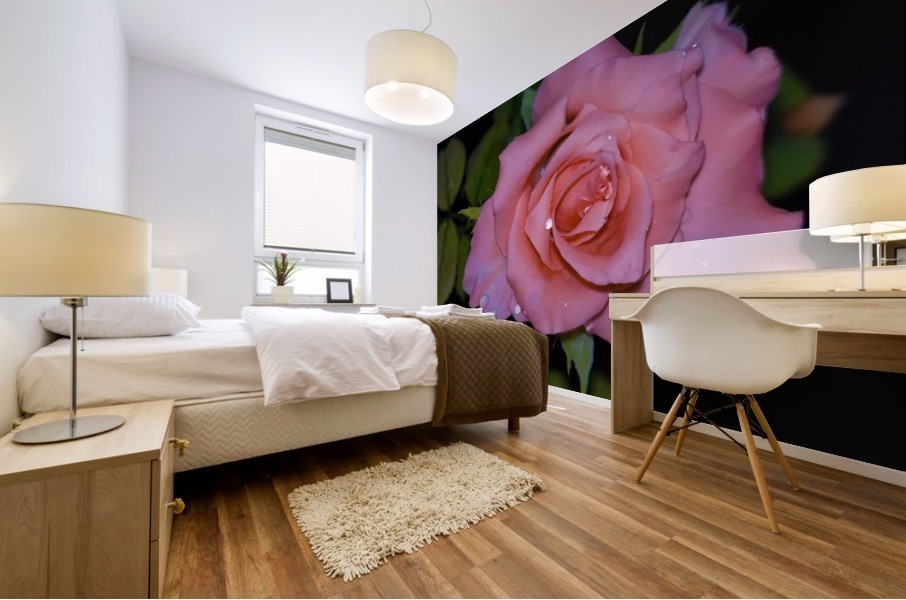 Pink Rose Mural print