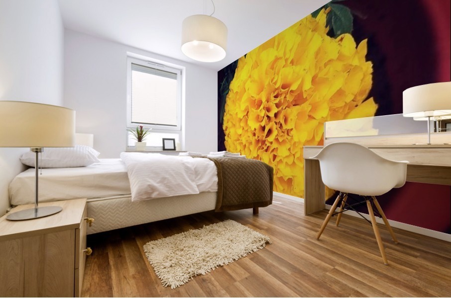 Yellow Chrysanthemum Mural print