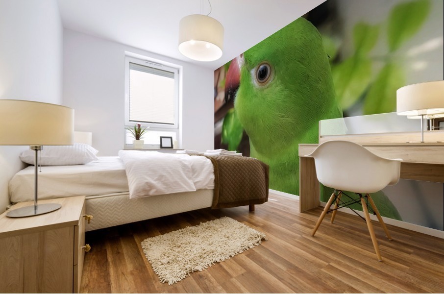 Gazing Parrot Mural print