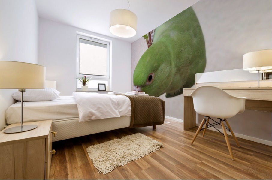 Cute Parrot Mural print