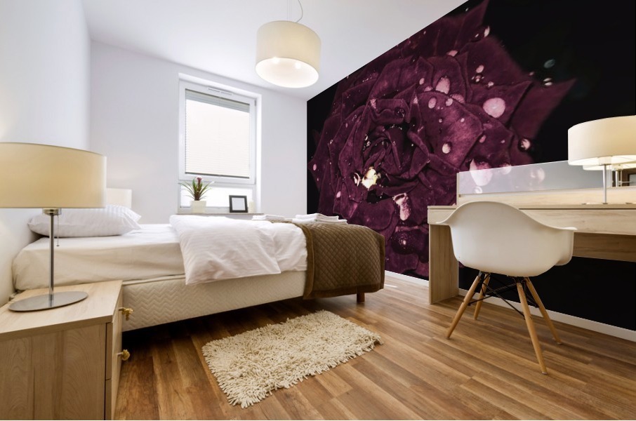 Shining Red Rose Mural print