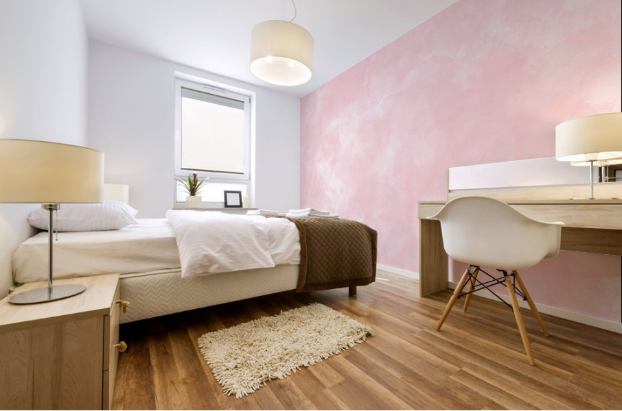 Baby Pink Mural print