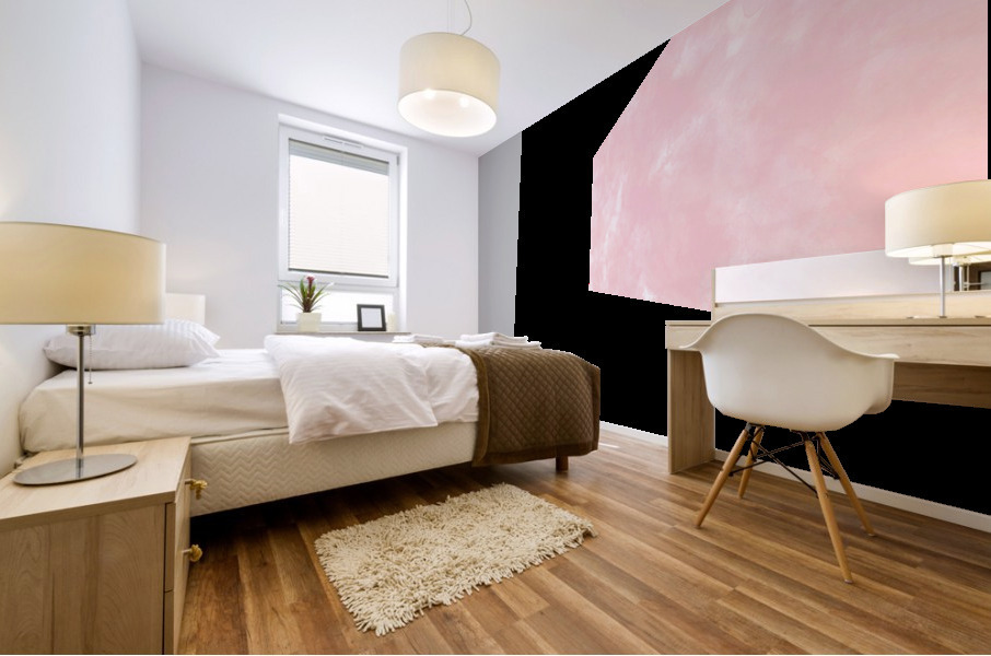 Salmon Pink Mural print