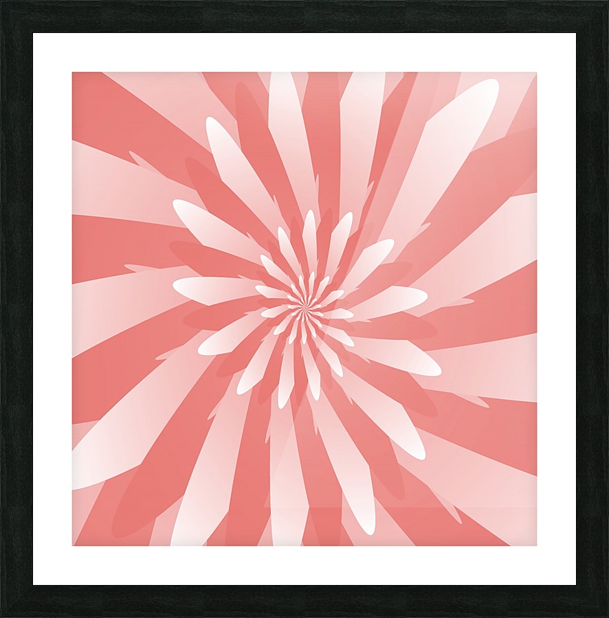 Flower Spiral Pattern  Picture Frame print