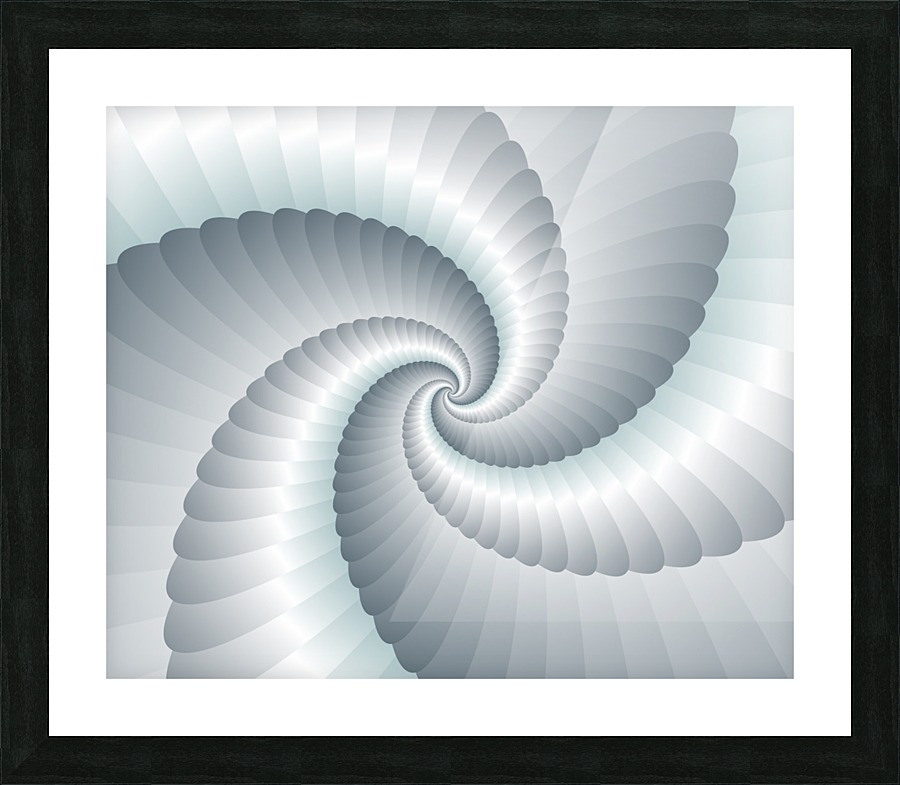 Wing Loop Picture Frame print
