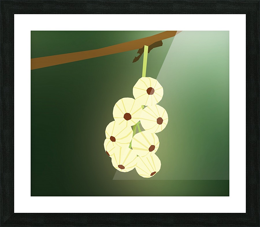 Cherry Blossom   Picture Frame print