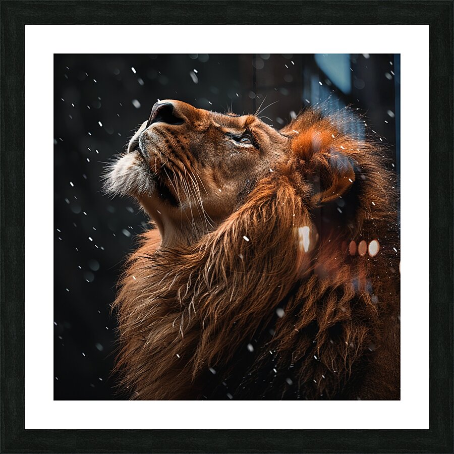 Fierce Lion Picture Frame print