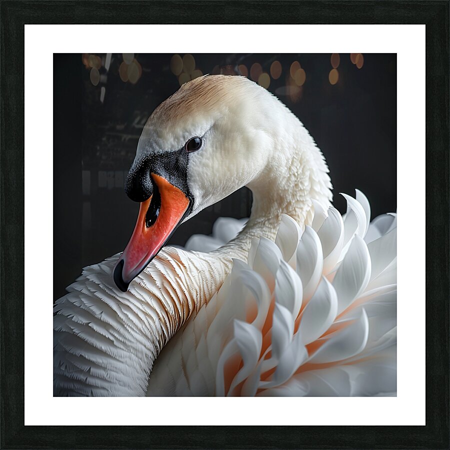 Delicate Swan Picture Frame print