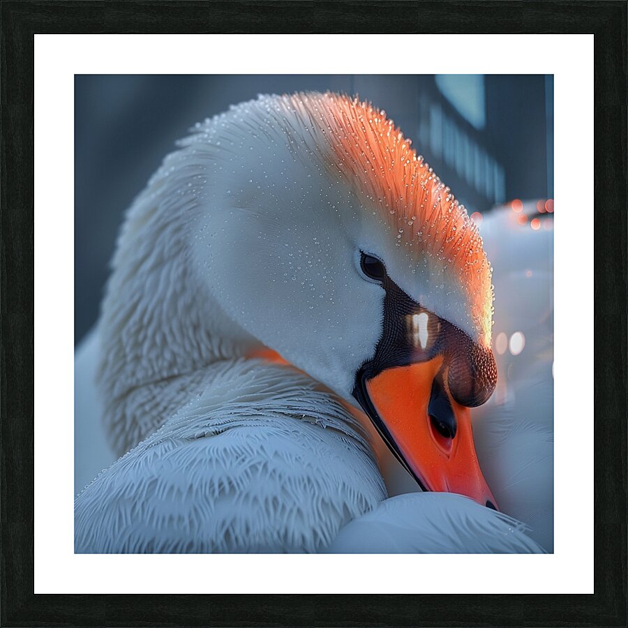 Flawless Swan Picture Frame print