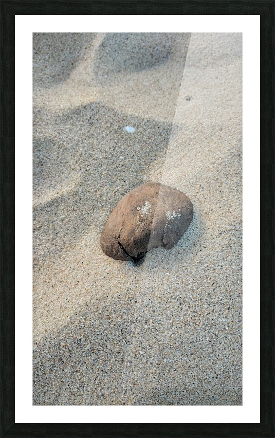 Coastal Shell Picture Frame print