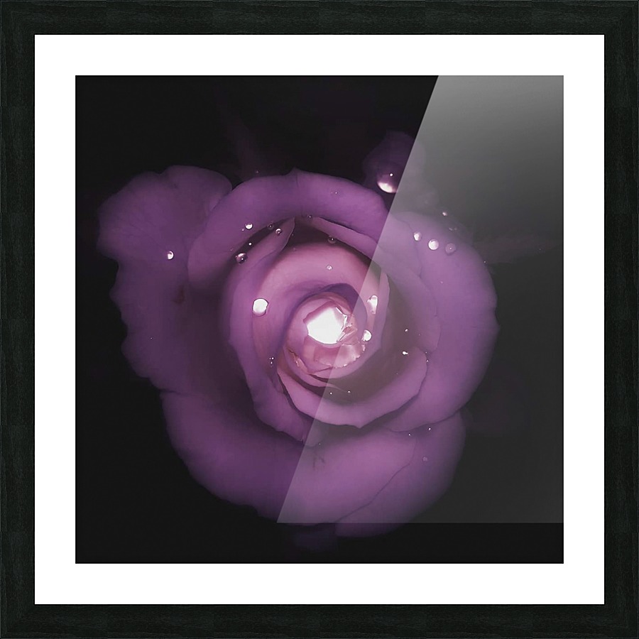 Sparkling Rose Picture Frame print
