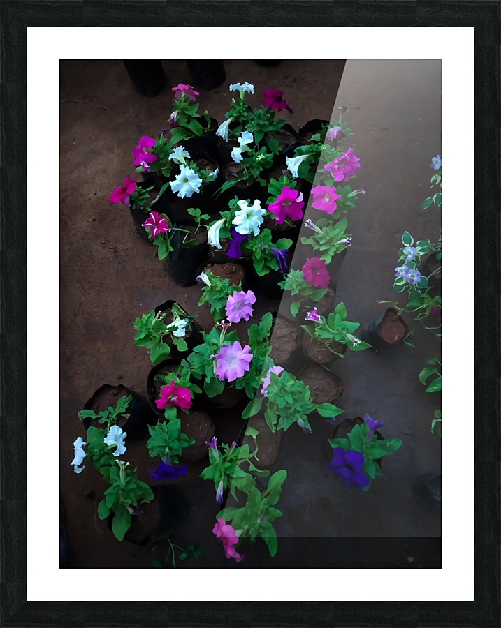Beautiful Flower Garden Picture Frame print