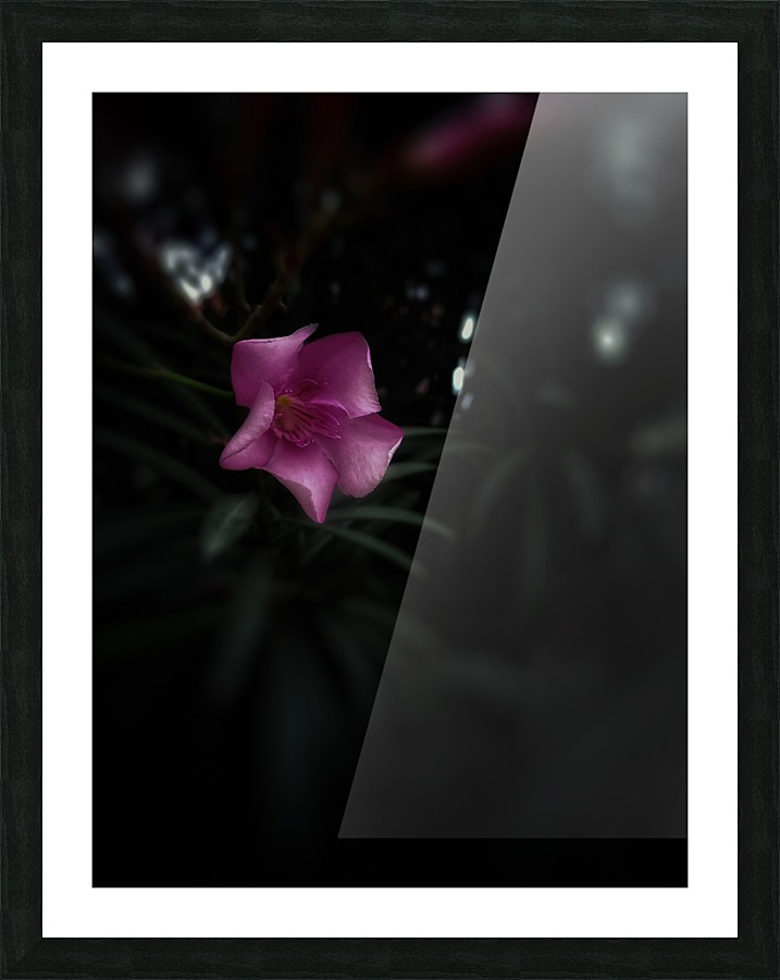 Pinky Flora Picture Frame print