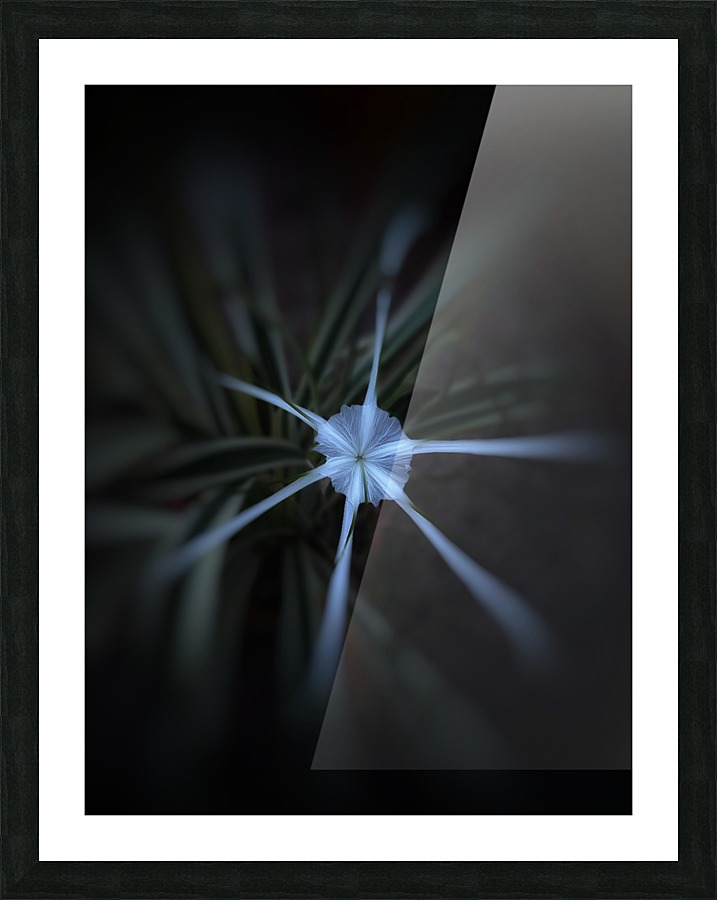 Sparkle Flower Picture Frame print